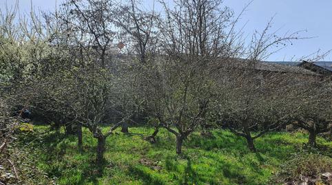 Foto 3 de Casa o xalet en venda a El Barredo, Páramo del Sil, León