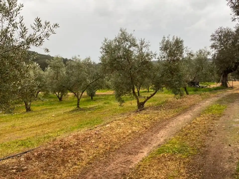Casa o xalet en venda en La Granjuela amb Calefacció, Jardí privat i Traster