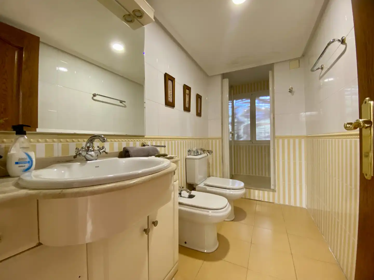 Baño de Casa o chalet en venta en Lanciego / Lantziego con Calefacción, Jardín privado y Parquet
