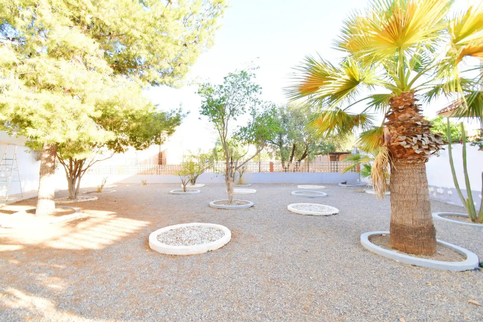 Villa mit Terrasse zum Verkauf in El Ejido Ciudad, imagen 53