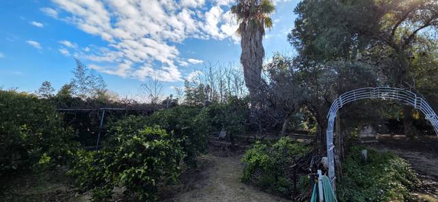 Terreno en Venta en Camino de la Corte, 4 en Alguazas