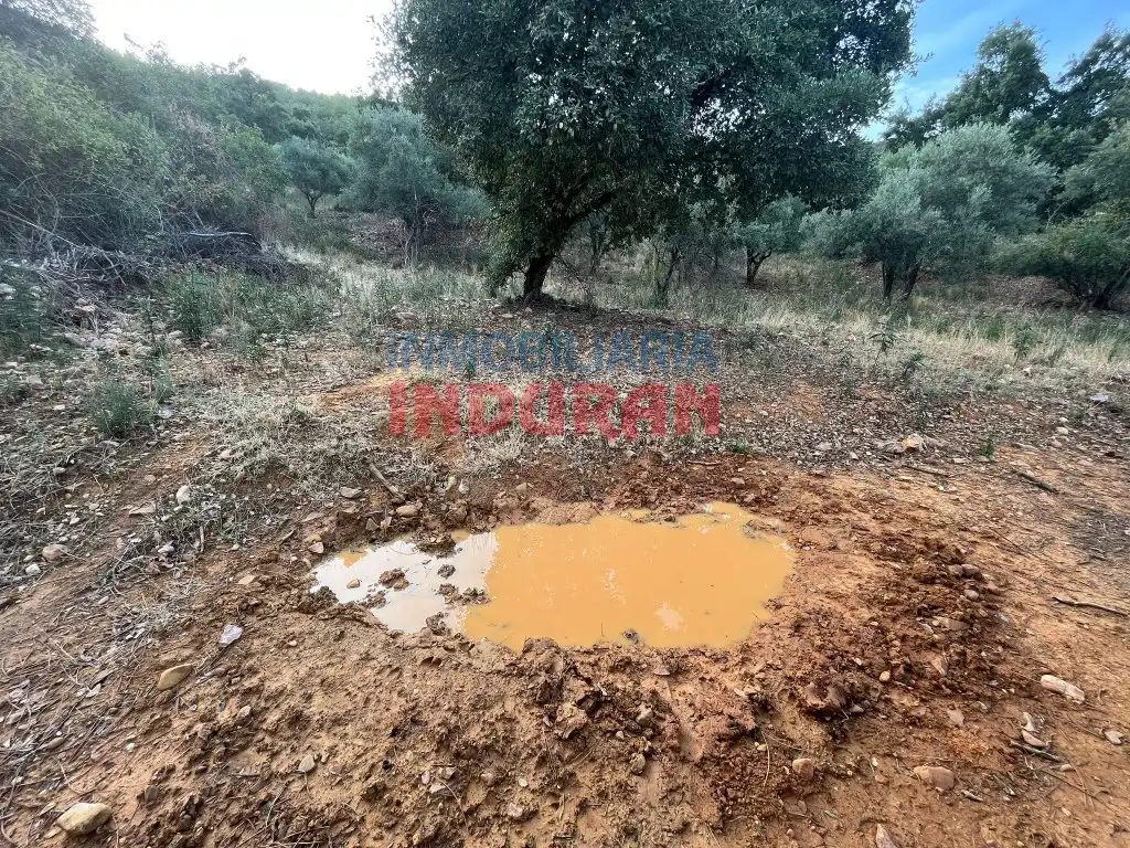 Country house for sale in Castañar de Ibor, imagen 6