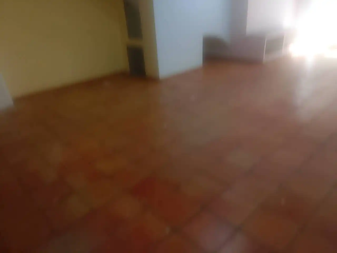 Geschaftsraum zur Miete in Oliva