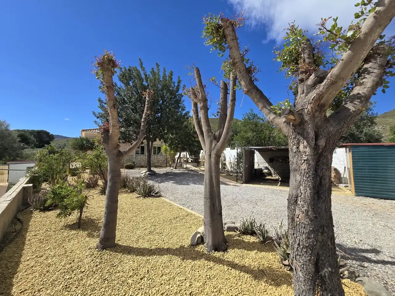 Jardín de Casa o chalet en venta en Cantoria con Aire acondicionado y Terraza
