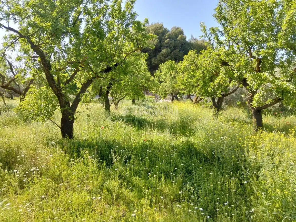 Rural land for sale in Dúrcal, imagen 11
