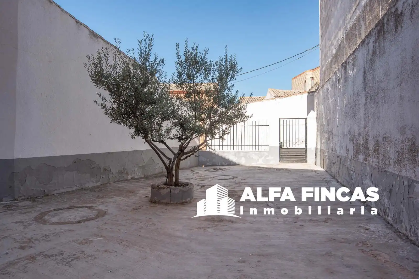 Vista exterior de Casa o xalet en venda en Tresjuncos amb Jardí privat, Terrassa i Traster