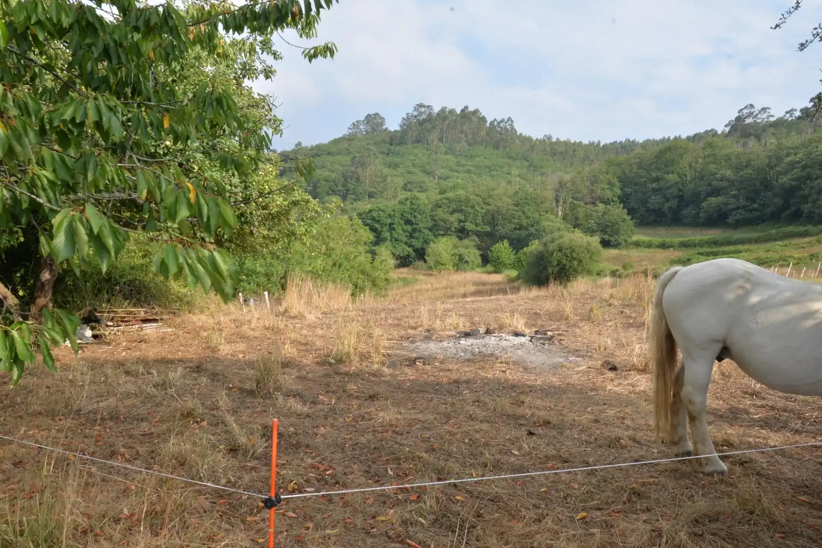 Finca rústica en venda en Oviedo  amb Traster