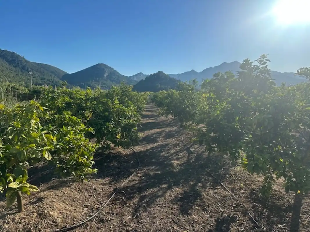 Terreno en venta en Xeresa