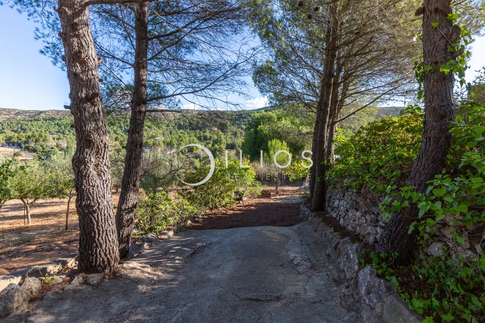 Vista exterior de Finca rústica en venda en Buñol amb Aire condicionat, Calefacció i Jardí privat