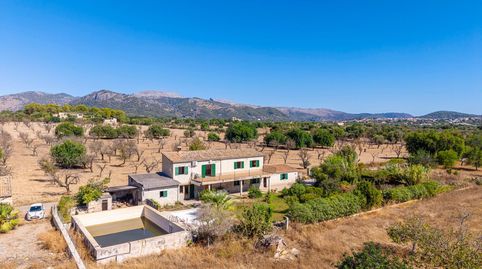 Finca rústica con terreno en Selva, imatge 3