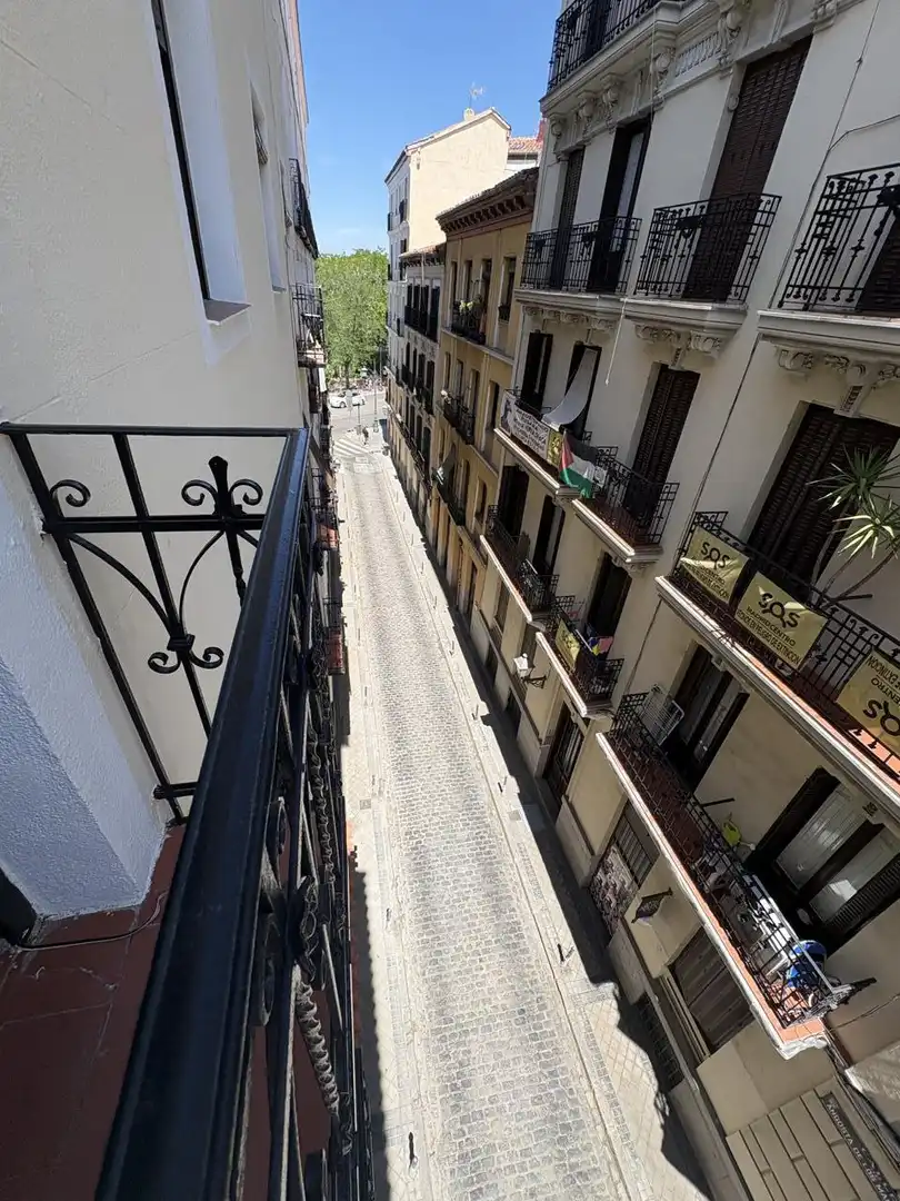 Pis de lloguer a De Angosta De Los Mancebos, Palacio