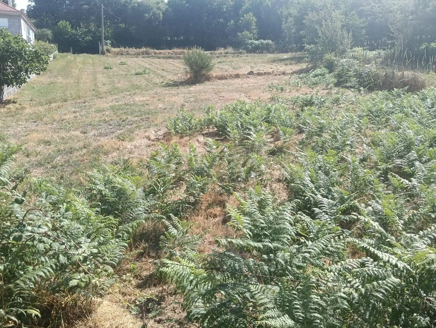 Finca rústica en venta en Lugar San Pedro, A Bola