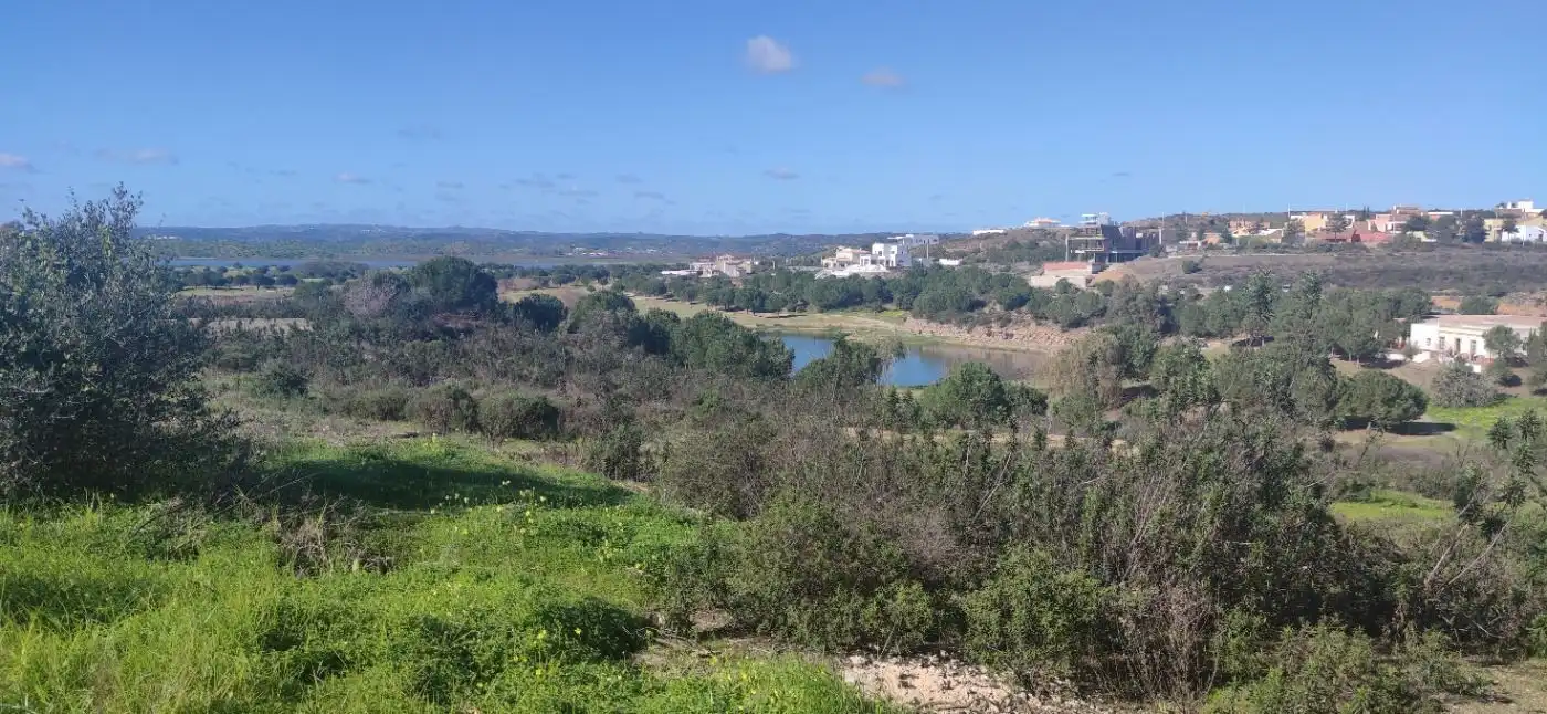 Chalet con piscina en venta en Paseo BLASCO IBAÑEZ, imagen 44