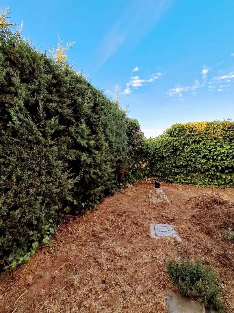 Jardí de Casa o xalet en venda en Matarrubia