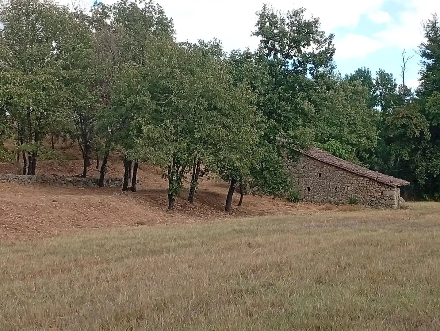 Terreni e lotti in vendita a Villanueva de la Vera, imagen 94