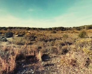 Land for sale in Chiclana de la Frontera