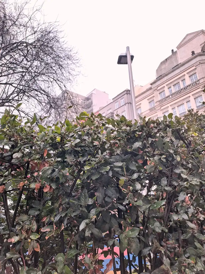 Vista exterior de Piso en venta en A Coruña Capital  con Terraza y Balcón