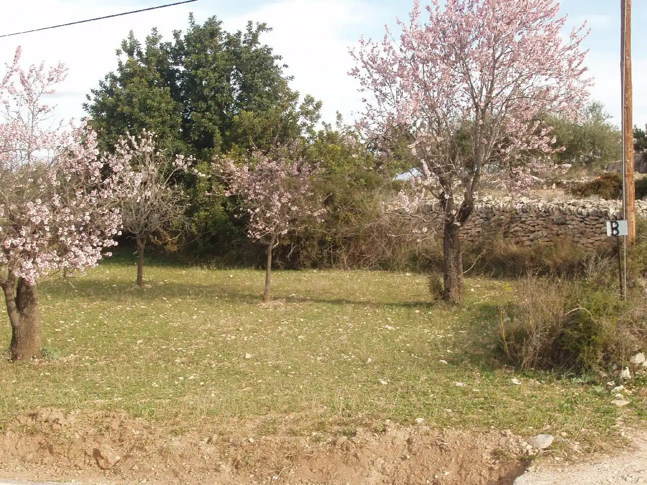 Terreny residencial en venda a Càlig, imagen 3
