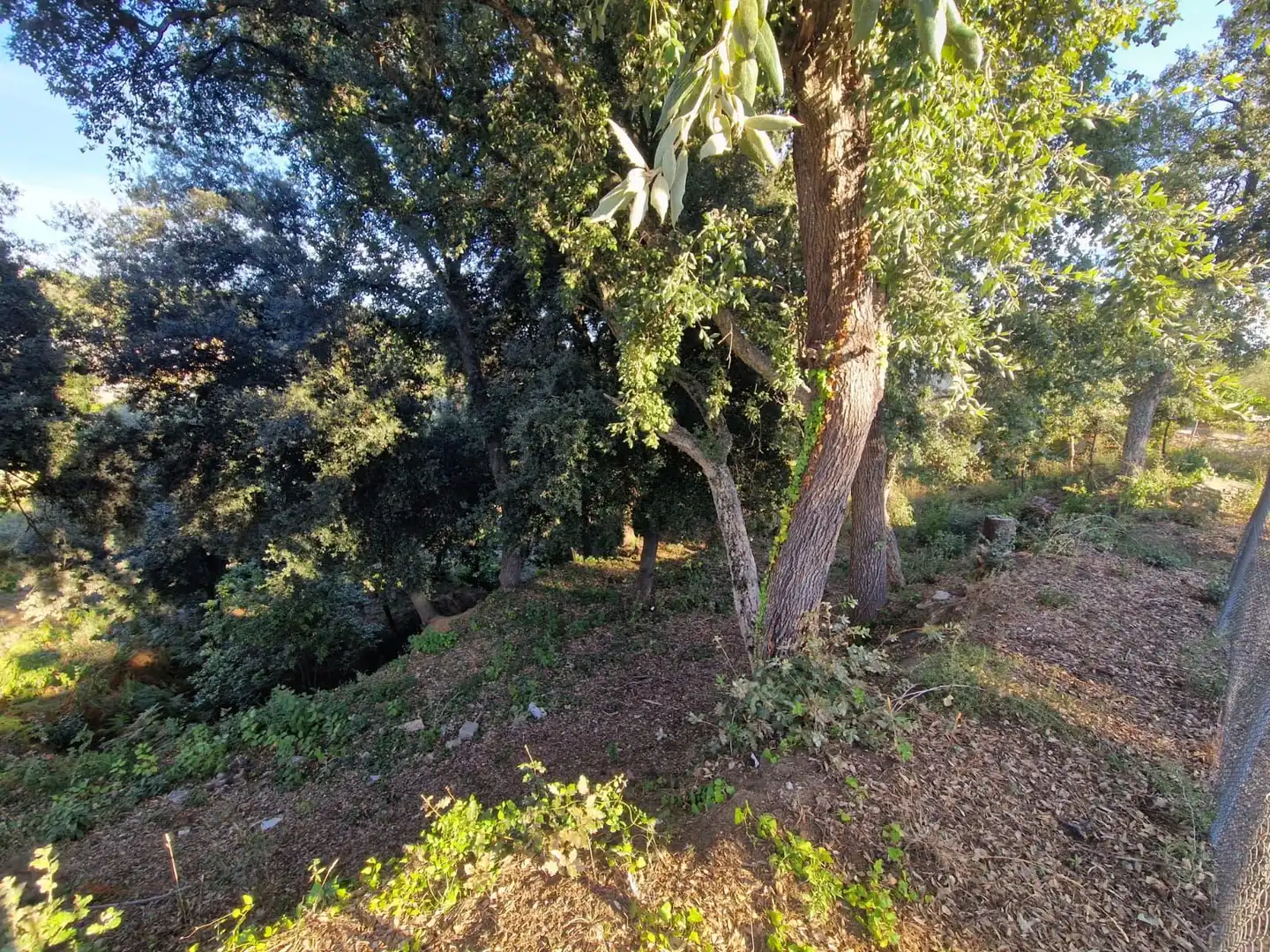 Lands and plots for sale in Can Massuet del Far, imagen 3