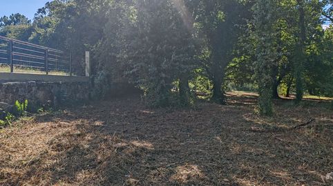 Finca con robles en venta Dodro junto el campo de la fiesta., immagine 4