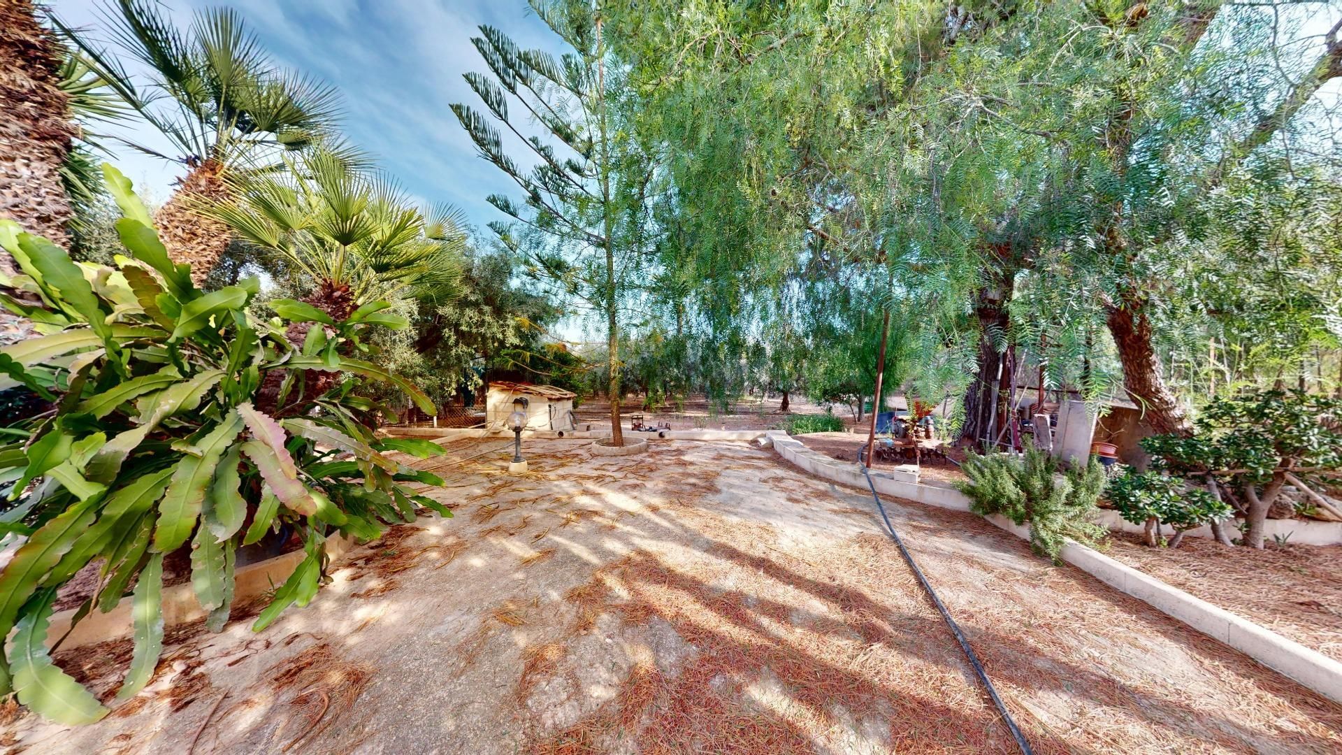 Garden of House or chalet for sale in Elche / Elx  with Private garden and Swimming Pool