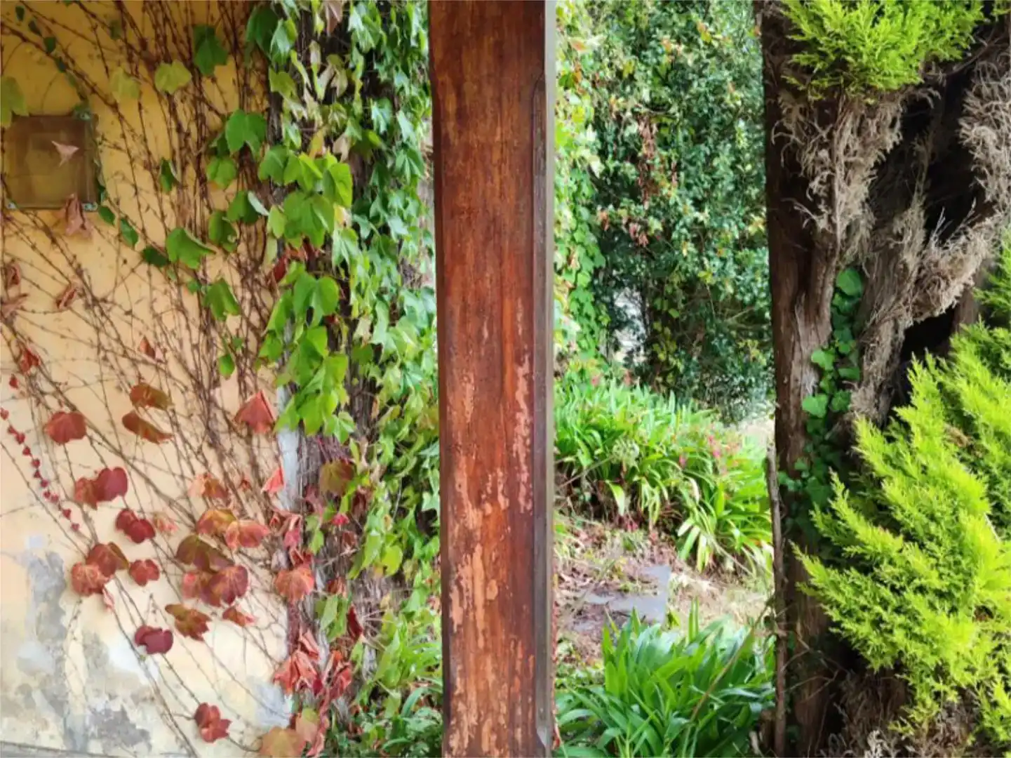 Jardí de Casa o xalet en venda en O Vicedo 