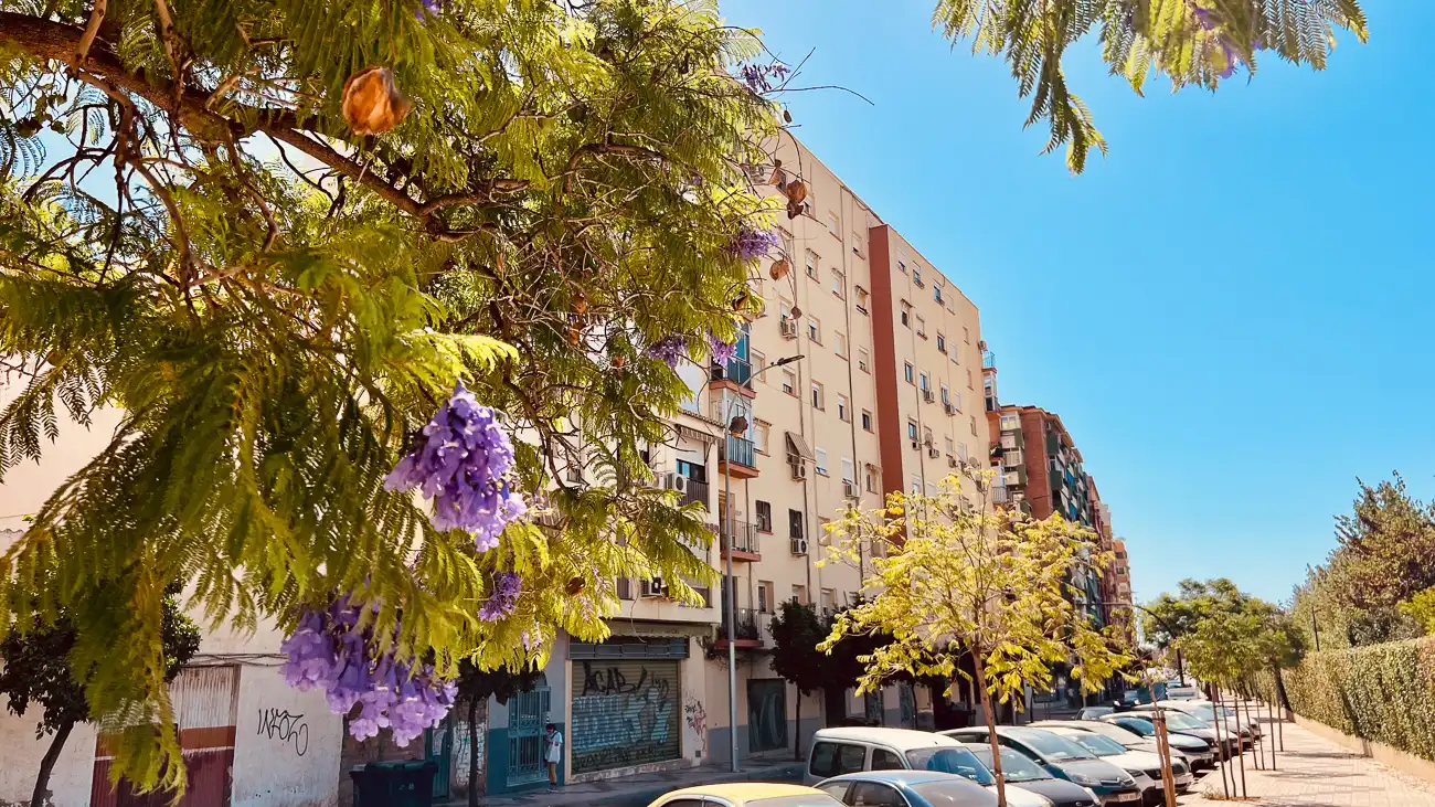 Piso con ascensor en venta en Calle Huerto de los Claveles, imagen 20