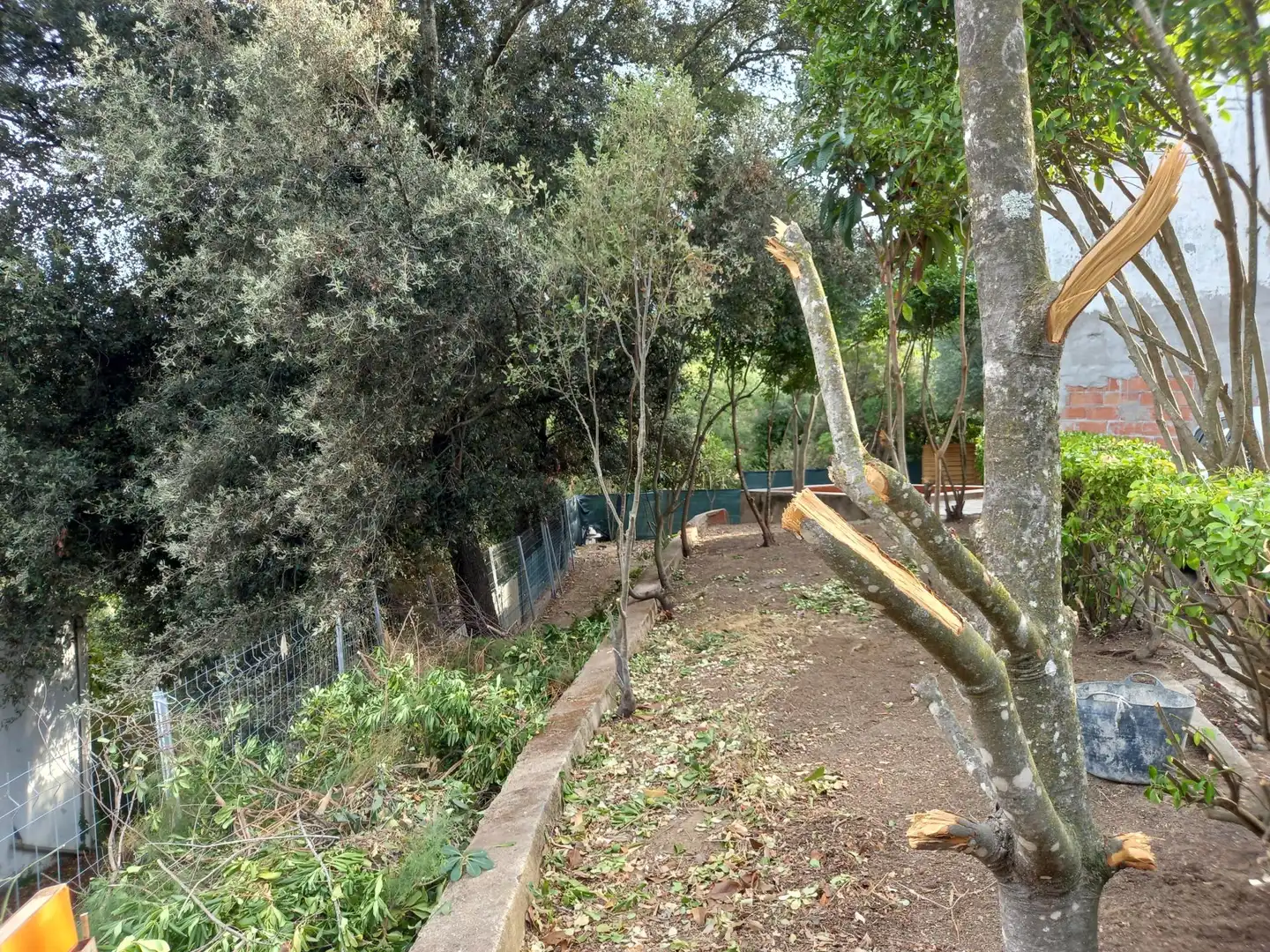 Casa amb jardí en venda a Santa Maria de Palautordera, imagen 44