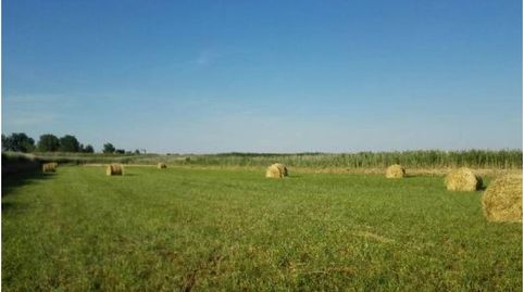 Finca rustica en venta en Capdesaso, immagine 2