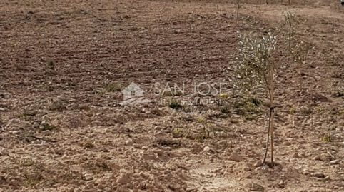 VENTA DE TERRENO RUSTICO EN LA CANALOSA, imatge 2