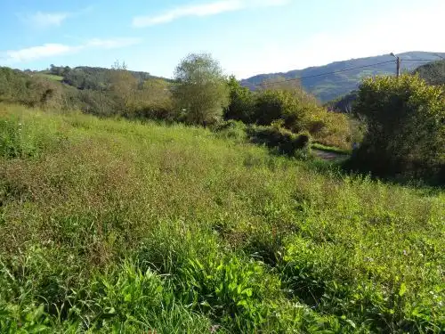 Terreno rustico in vendita a Parroquias suroccidentales, imagen 11