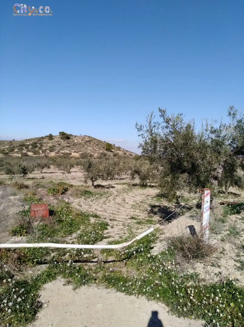 Terrenys i solars en venda a Bullas, imagen 3