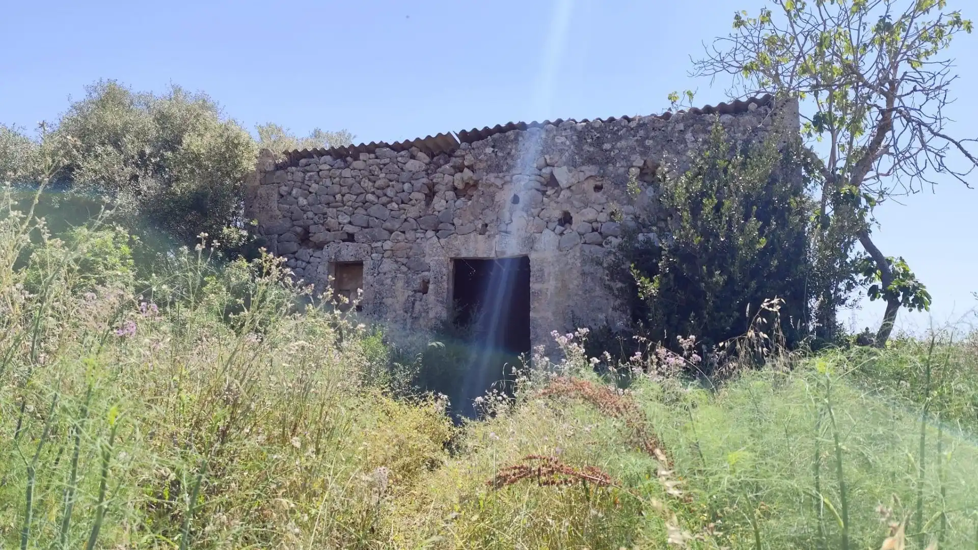 Terreno en venta en Maria de la Salut