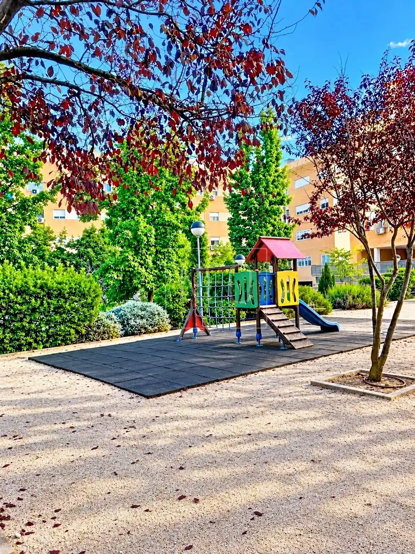 Piso con piscina en venta en Calle PRESIDENTE J M AZNAR, imagen 38