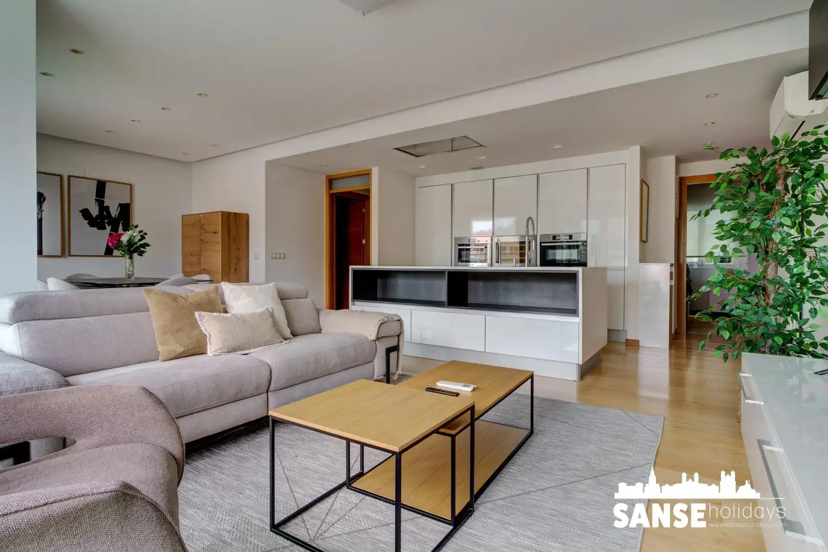 Sala de estar de Piso de alquiler en Donostia - San Sebastián 