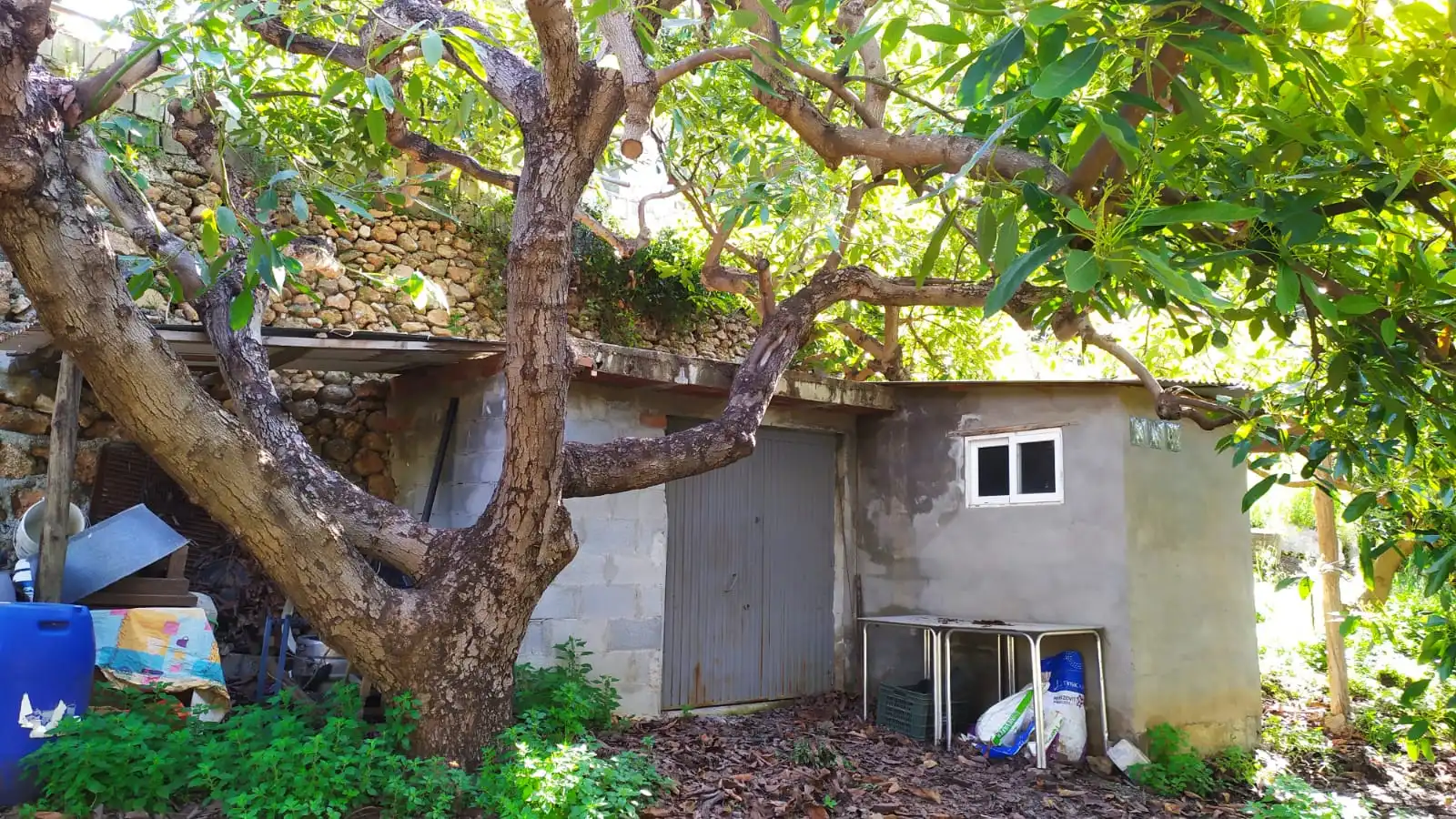 Rural land for sale in Paraje Almachares 15, imagen 13