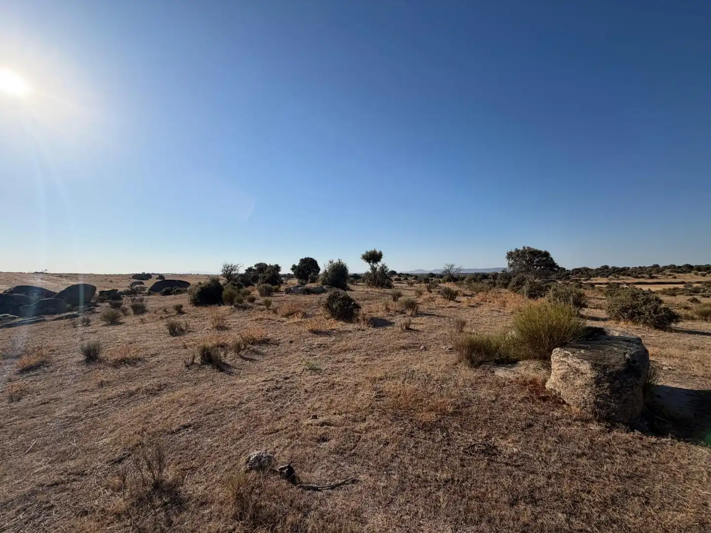 Terreno rustico in vendita a Malpartida de Cáceres, imagen 11