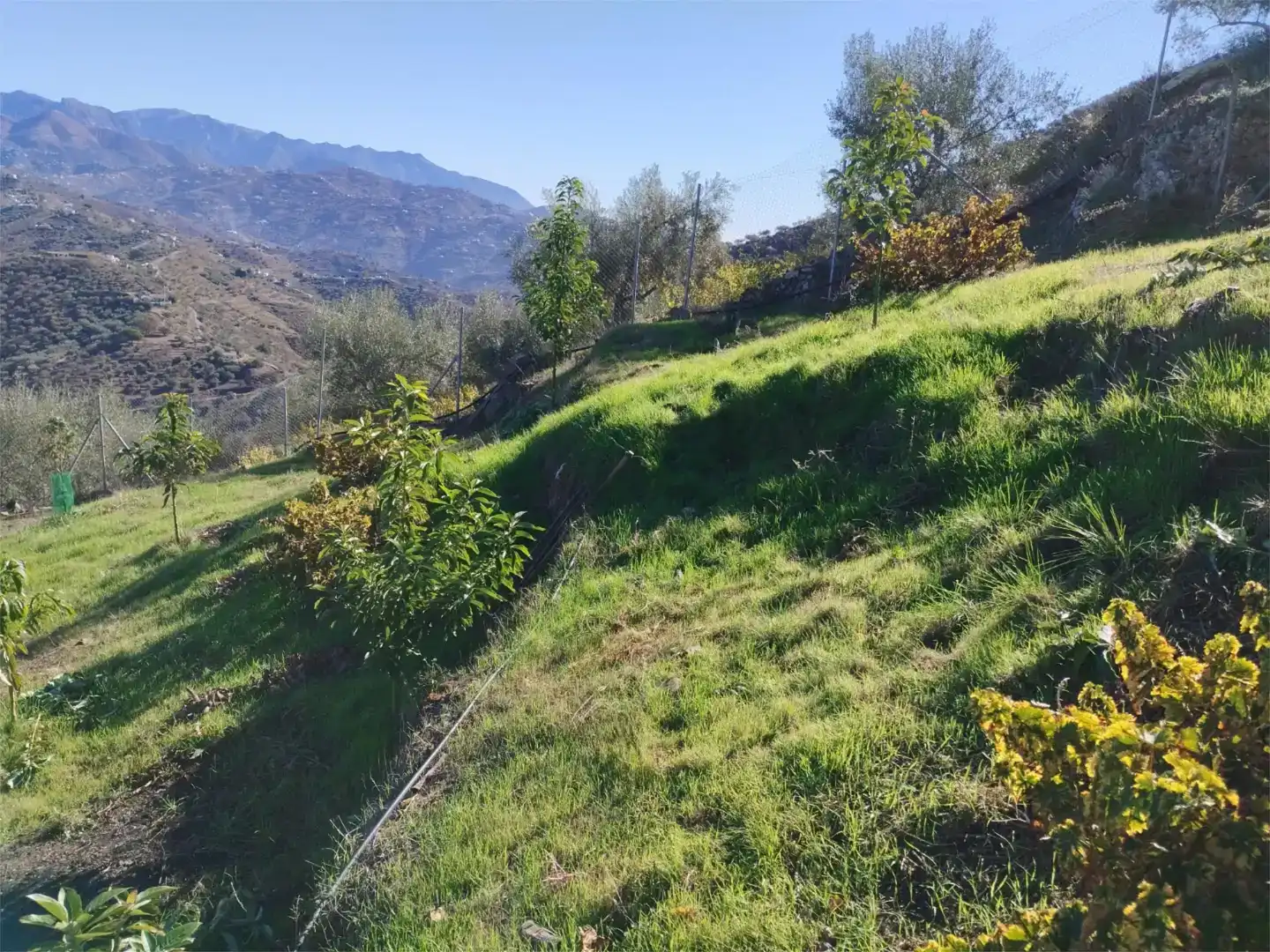 Terreno en venta en Arenas