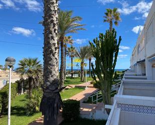 Vista exterior de Estudi de lloguer en Orihuela amb Terrassa, Piscina i Balcó