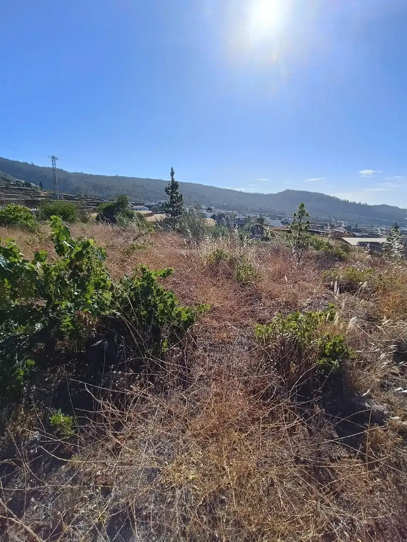 Terreno rústico en venta en M\A LIRIOS. VILAFLOR DE CHASNA [S.C. TENERIFE], imagen 20