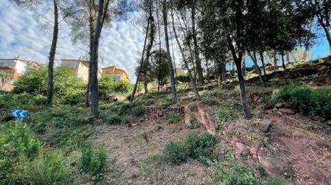 Corbera de Llobregat, ( Barcelona) Terreno urbanizable en calle Amunt, de L' (c. Lluis)., immagine 3