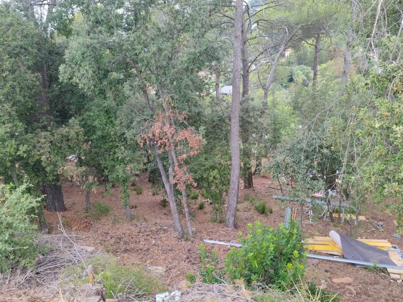 Rural land for sale in Matadepera, imagen 4
