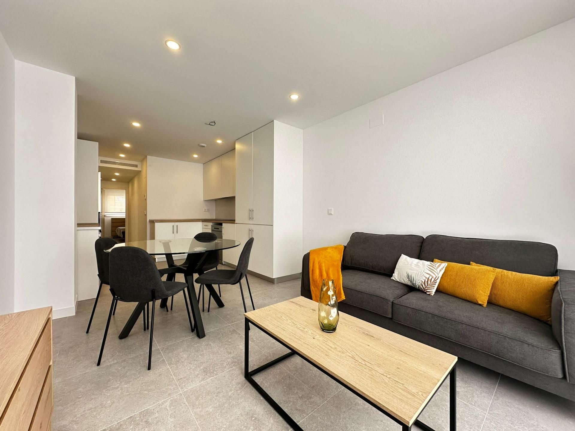 Living room of Flat to rent in Alicante / Alacant  with Air Conditioner and Heating