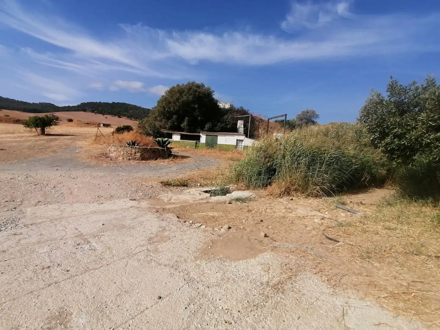 Terreno en venta en Ardales