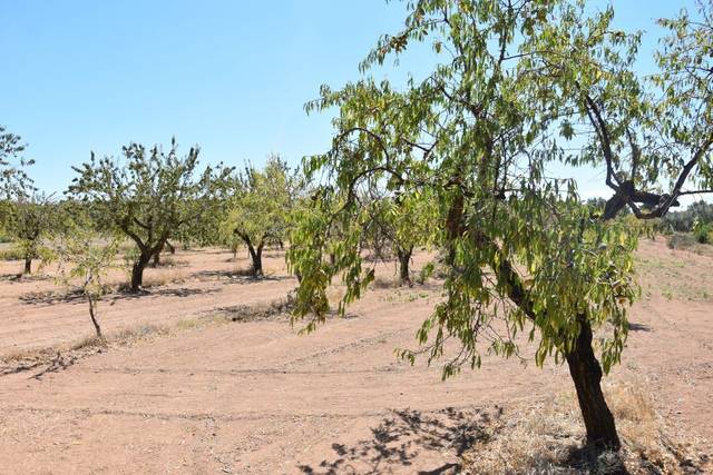 Terreno en Venta en Cretas