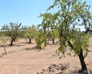 Terreny en venda en Cretas