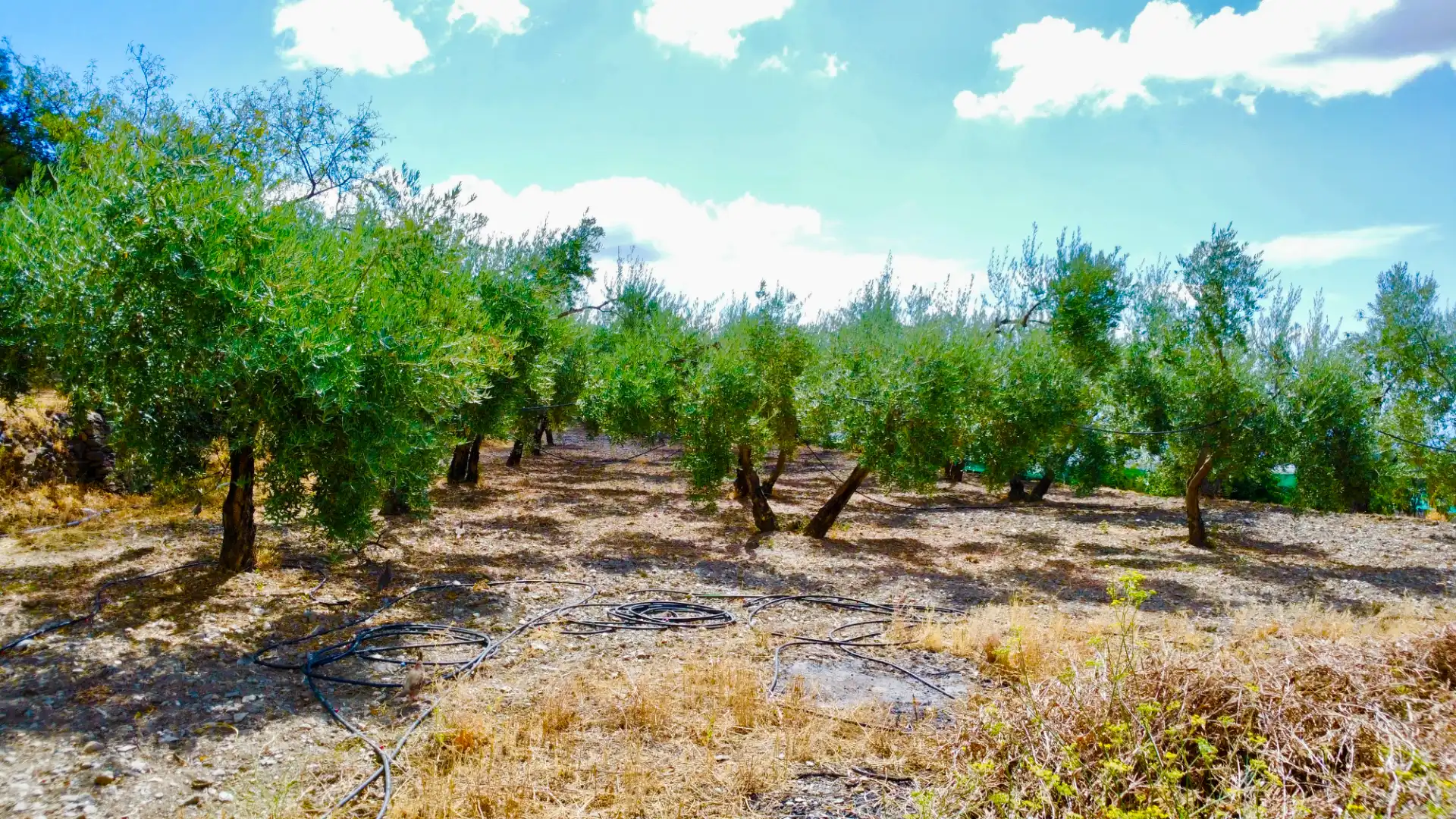 Terreno rustico in vendita a N/A, imagen 32