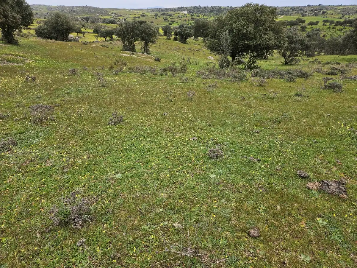 Terreni e lotti in vendita a Navas del Madroño, imagen 5