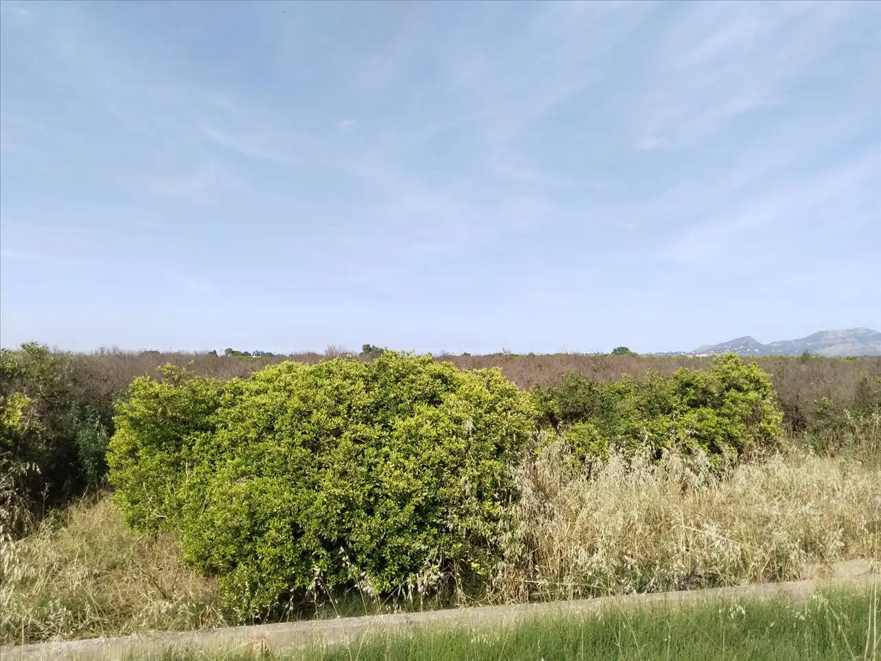 Residencial en venta en Benimuslem