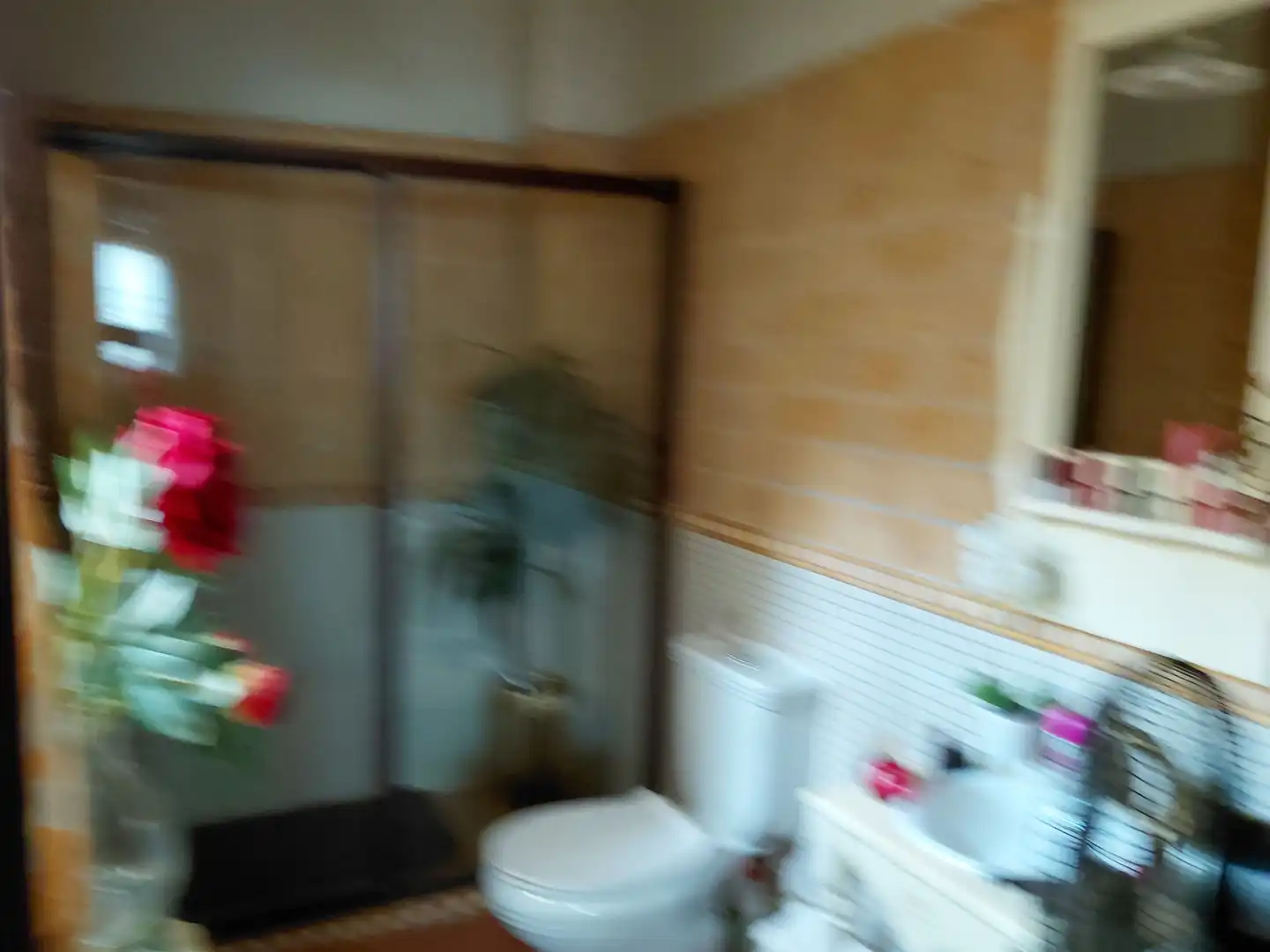 Bany de Casa o xalet en venda en Lepe